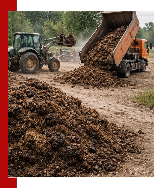 Доставка навоза самосвалами в Юрге для сельхозпотребностей